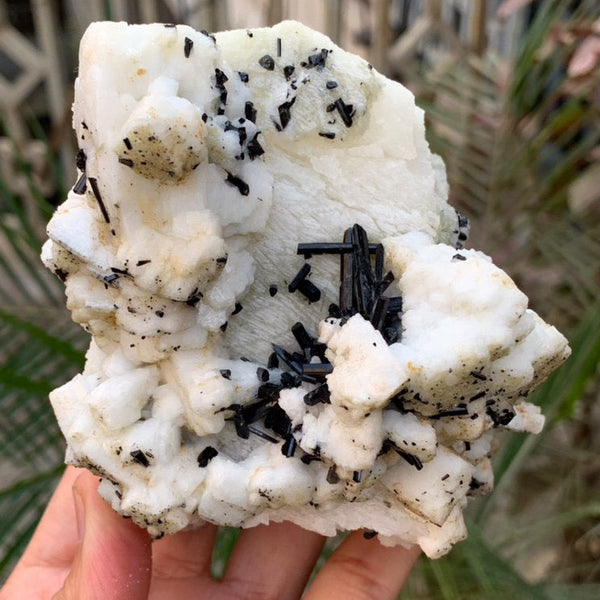 Black Tourmaline Specimen - 587g