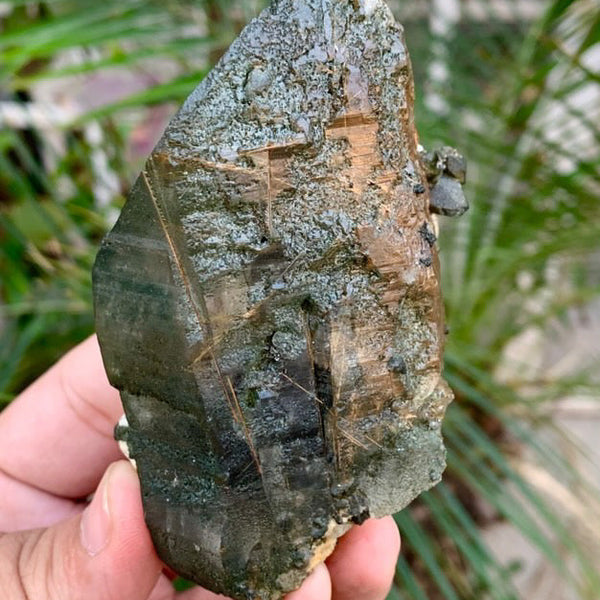 Rutile Quartz Specimen - 297g