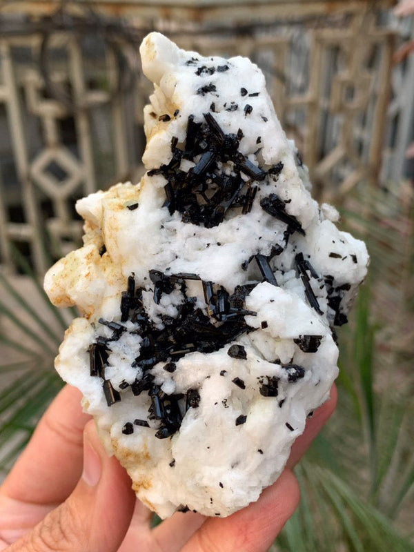 Black Tourmaline Specimen - 480g
