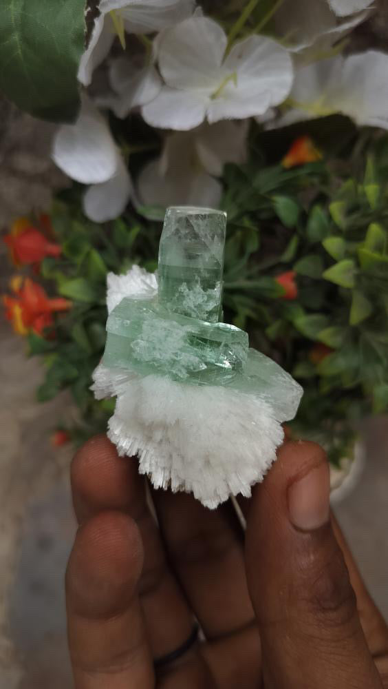 Apophyllite Specimen - 40g
