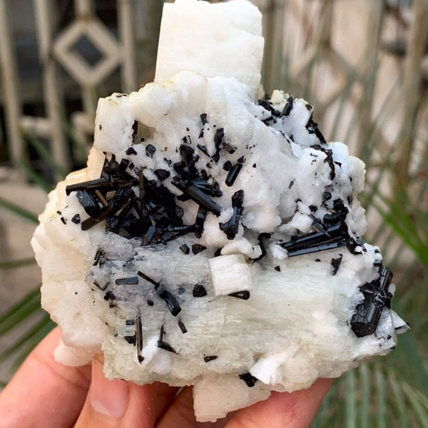 Black Tourmaline Specimen - 403g