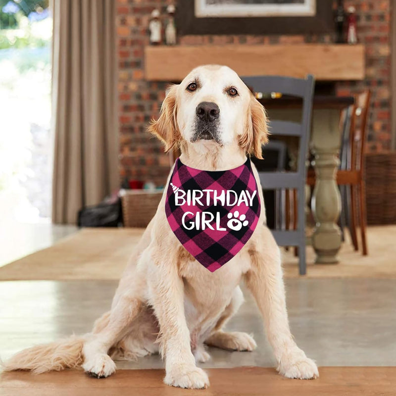 Dog Birthday Bandana – Premium Cotton Birthday Boy Bandana for Dogs
