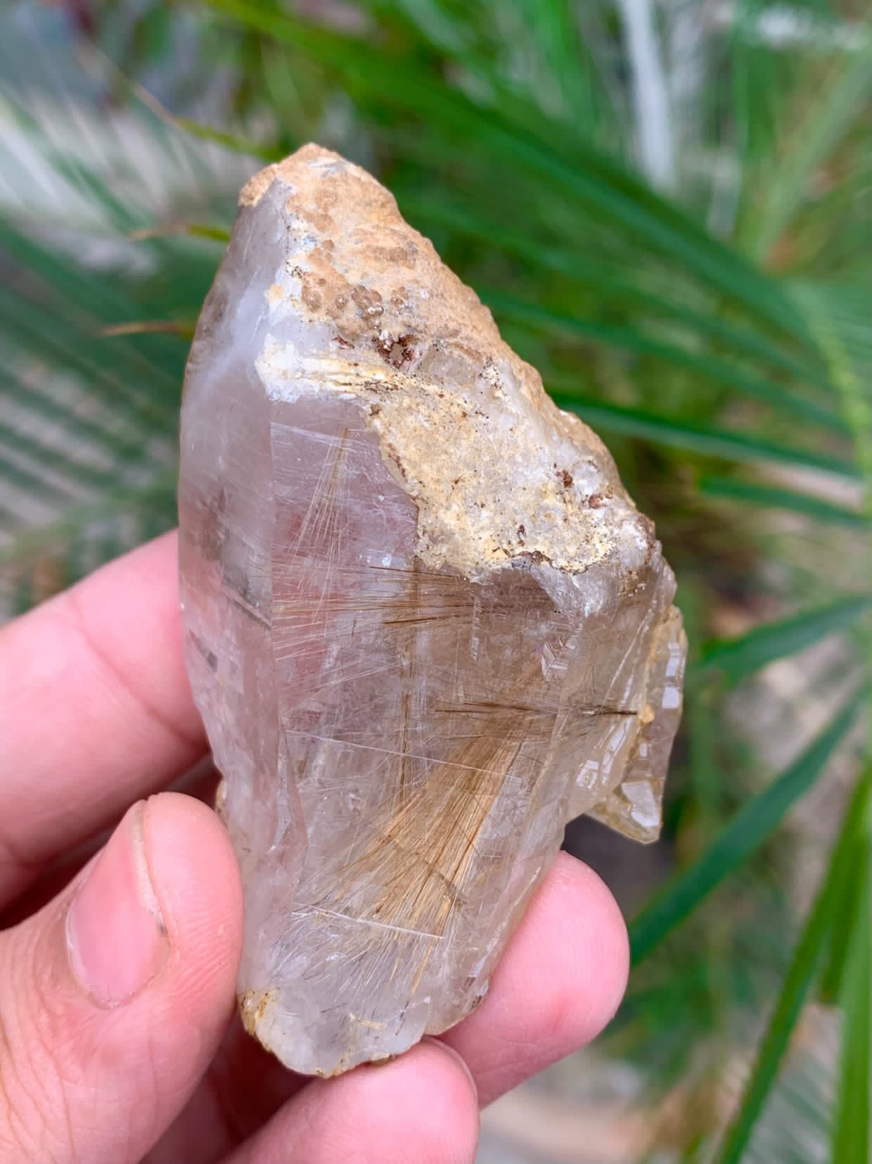 Rutile Quartz Specimen - 77g