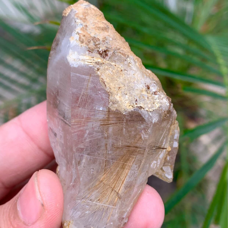 Rutile Quartz Specimen - 77g