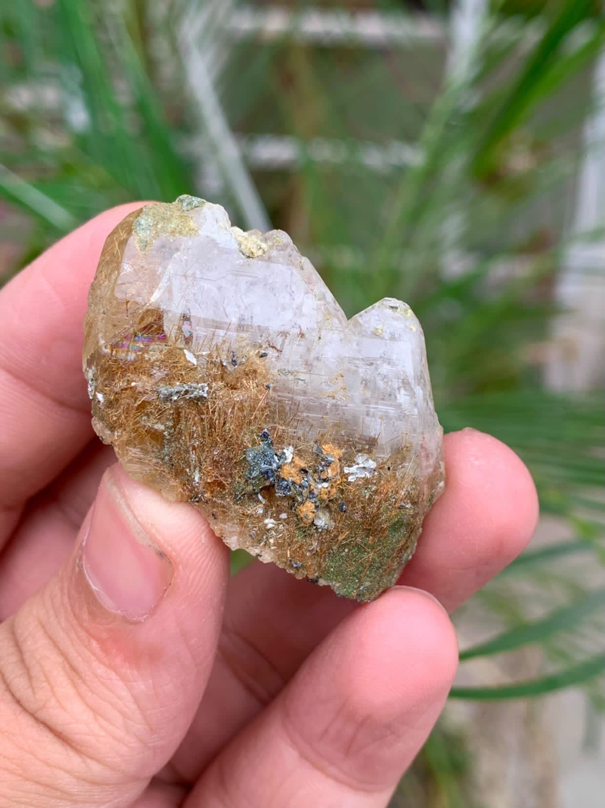 Rutile Quartz Specimen - 22g