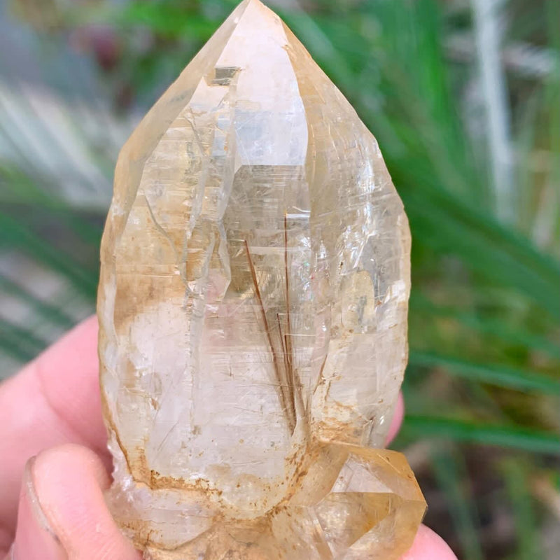Rutile Quartz Specimen - 60g