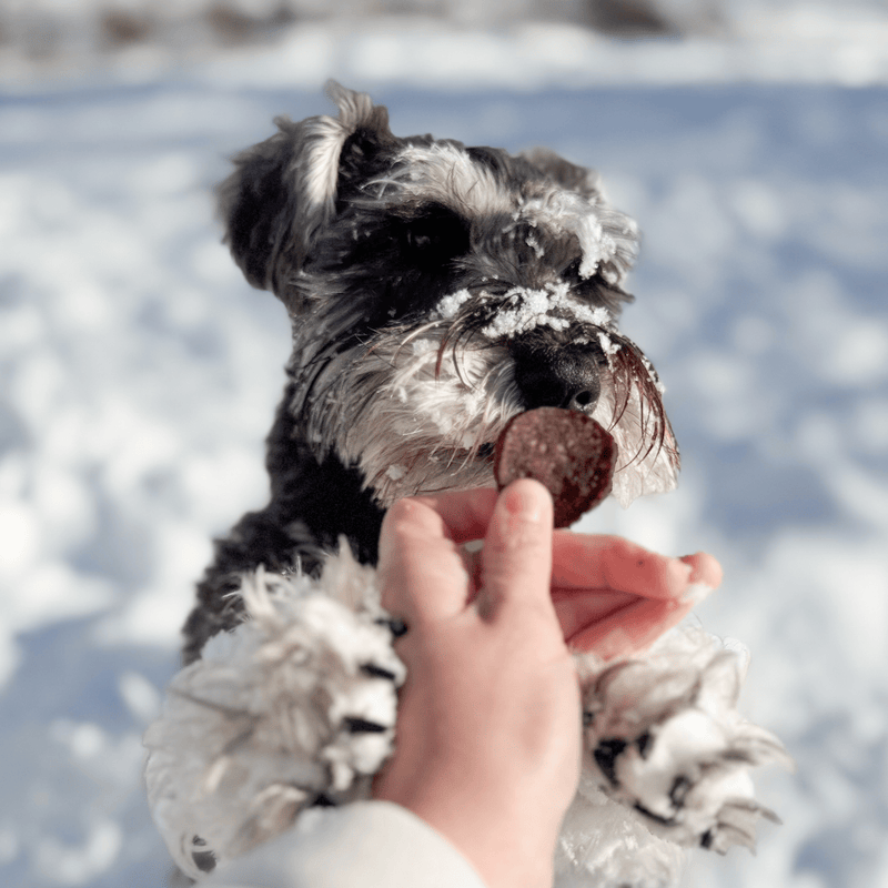 Snack Stuffers Mini Dog Treat Bags