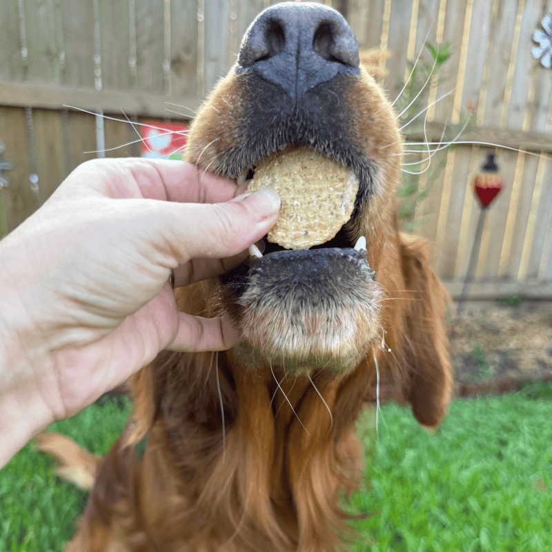 Snack Stuffers Mini Dog Treat Bags