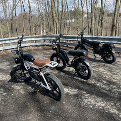 Cheap E Bike Factory Manufacturing Ebike Fat Tire for Men 48V MTB Bicycle Electric Dirt Bike