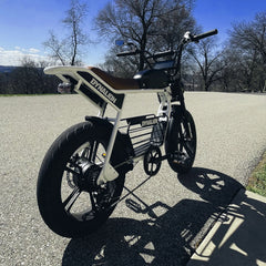 Cheap E Bike Factory Manufacturing Ebike Fat Tire for Men 48V MTB Bicycle Electric Dirt Bike