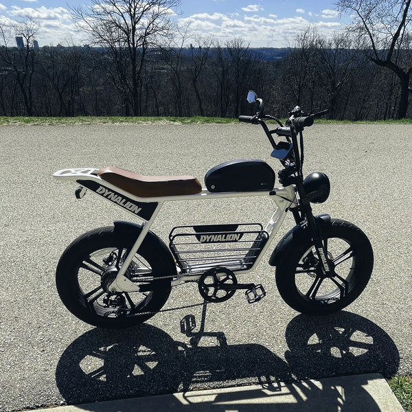 Cheap E Bike Factory Manufacturing Ebike Fat Tire for Men 48V MTB Bicycle Electric Dirt Bike
