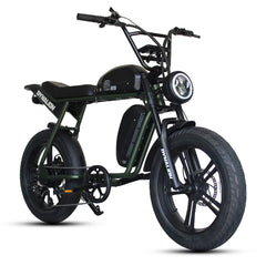 Cheap E Bike Factory Manufacturing Ebike Fat Tire for Men 48V MTB Bicycle Electric Dirt Bike