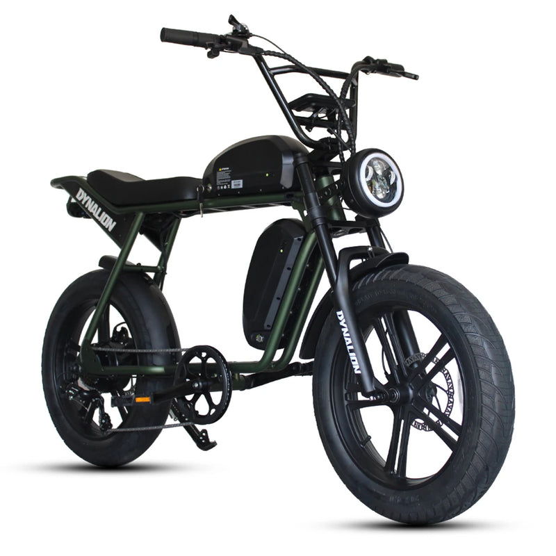 Cheap E Bike Factory Manufacturing Ebike Fat Tire for Men 48V MTB Bicycle Electric Dirt Bike