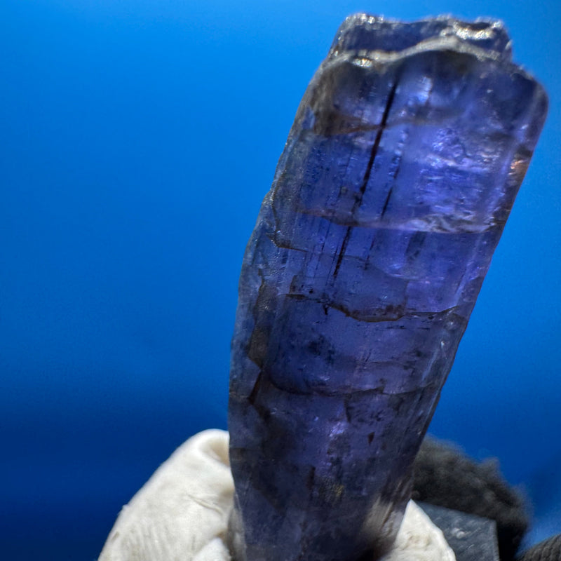 Tanzanite Crystal - 6g