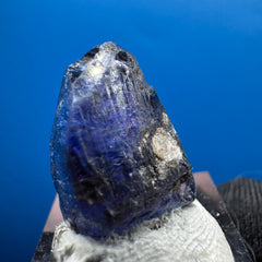 Tanzanite Specimen - 3g