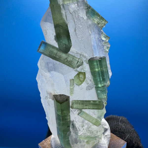 Tourmaline & Quartz - 18g