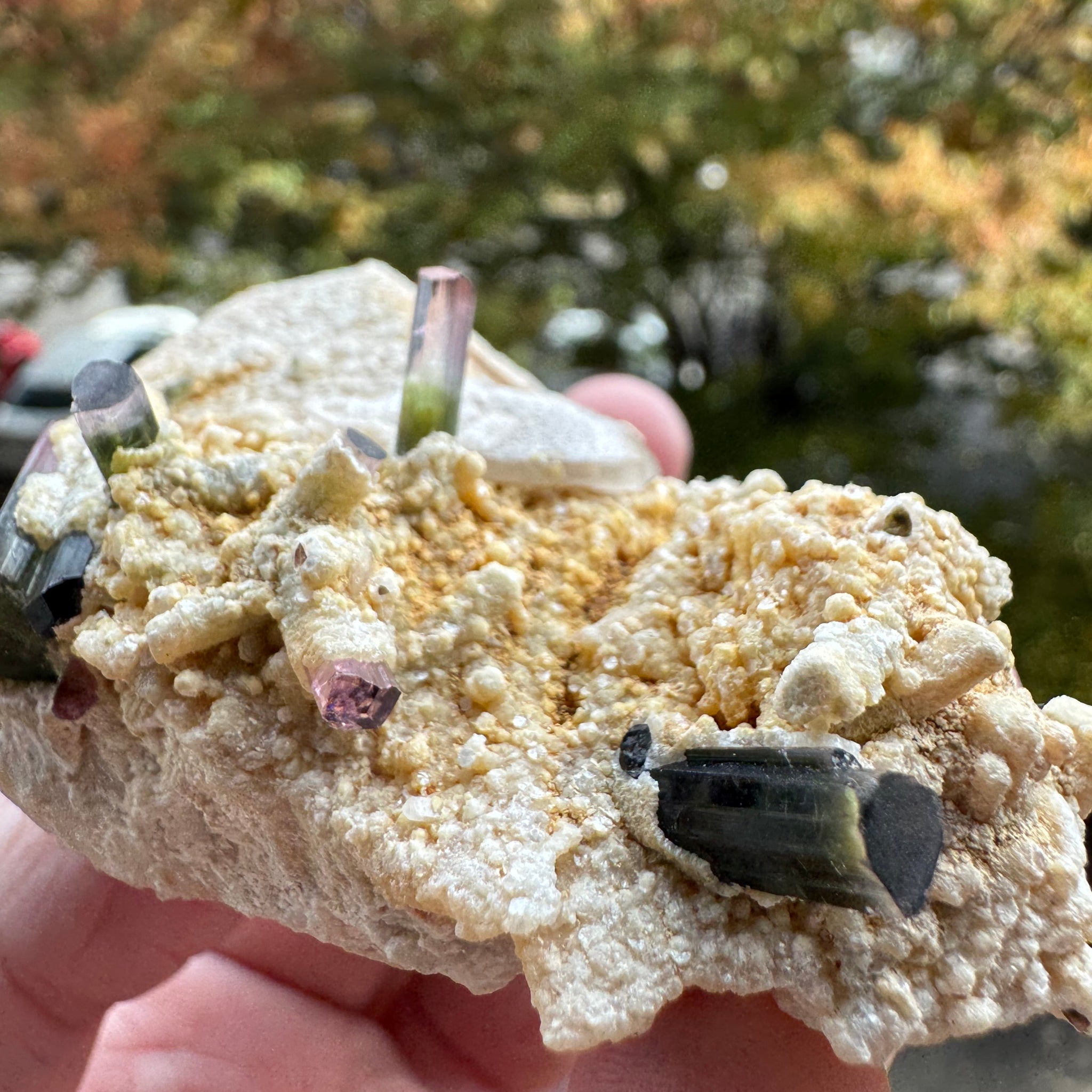 Watermelon Tourmaline Specimen - 106g