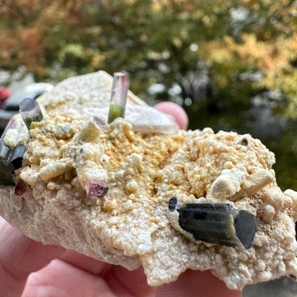 Watermelon Tourmaline Specimen - 106g