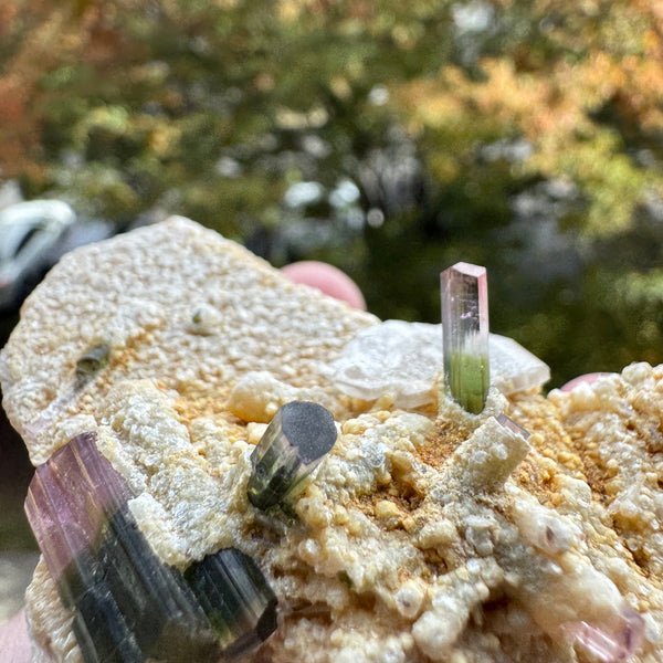 Watermelon Tourmaline Specimen - 106g