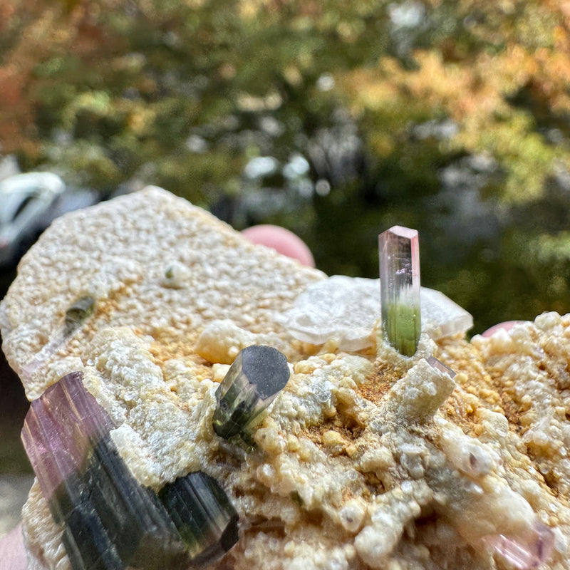 Watermelon Tourmaline Specimen - 106g