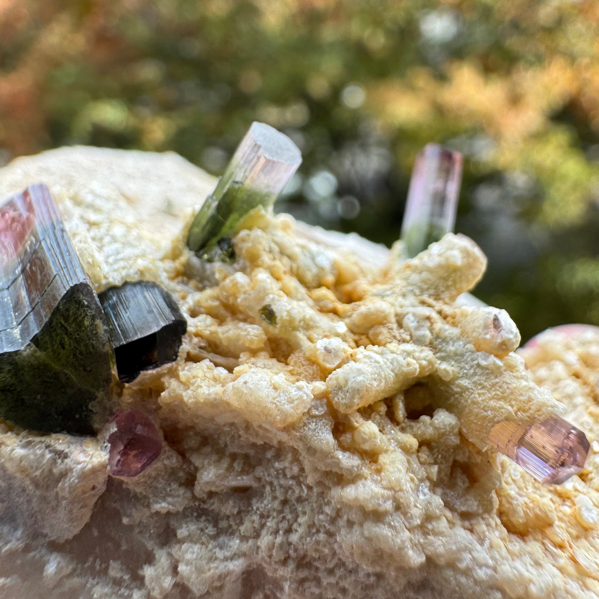 Watermelon Tourmaline Specimen - 106g
