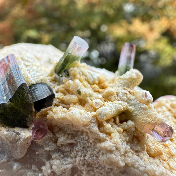 Watermelon Tourmaline Specimen - 106g