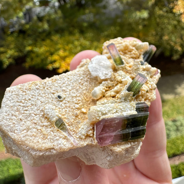 Watermelon Tourmaline Specimen - 106g