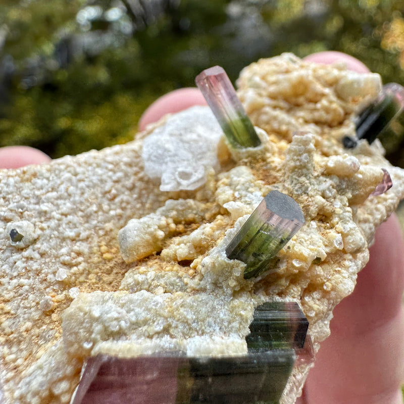 Watermelon Tourmaline Specimen - 106g