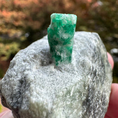 Emerald Specimen - 97g