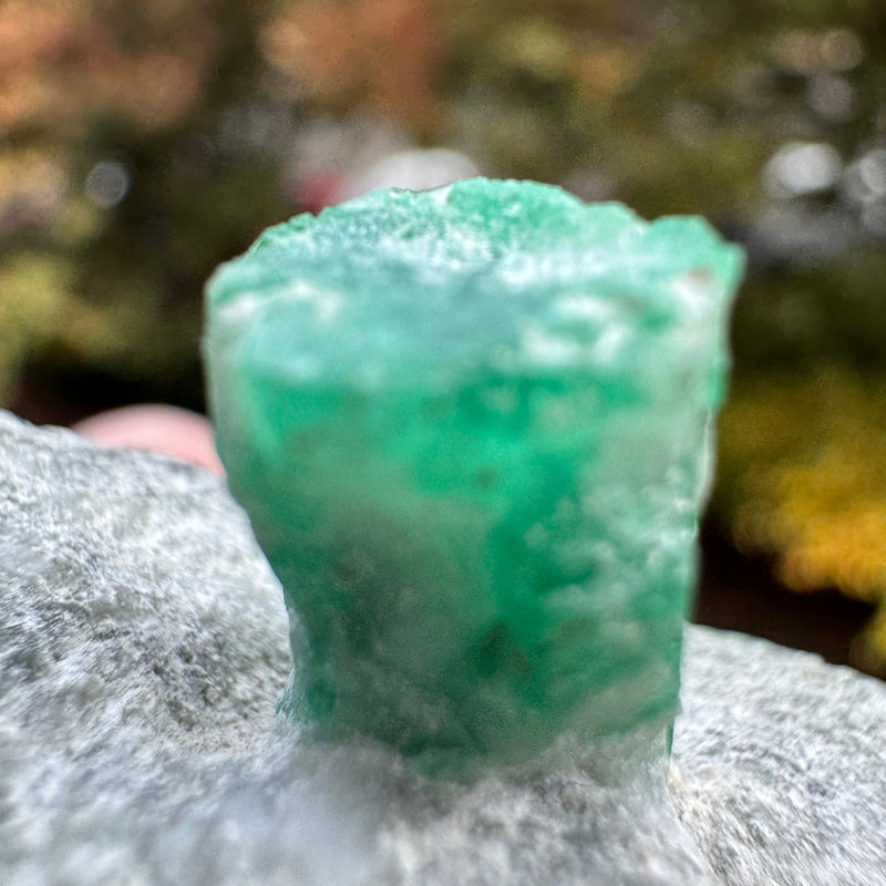 Emerald Specimen - 97g
