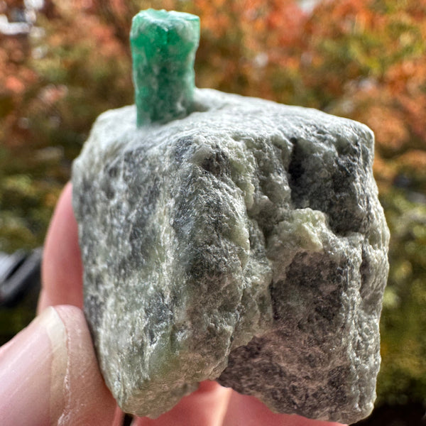 Emerald Specimen - 97g