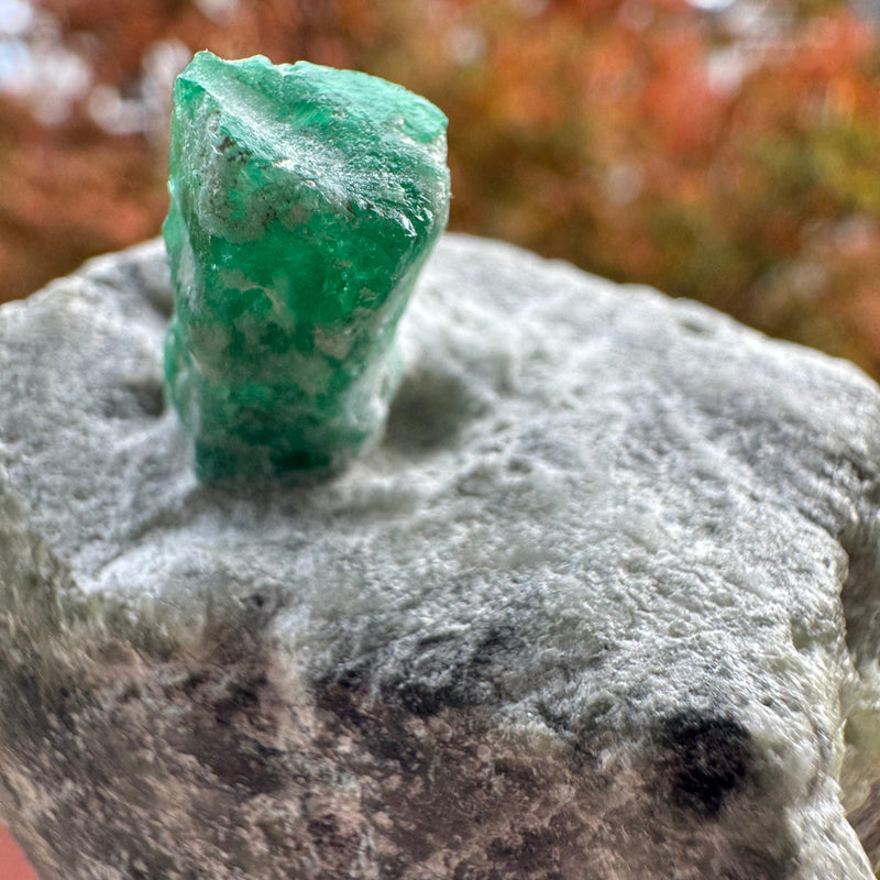 Emerald Specimen - 97g