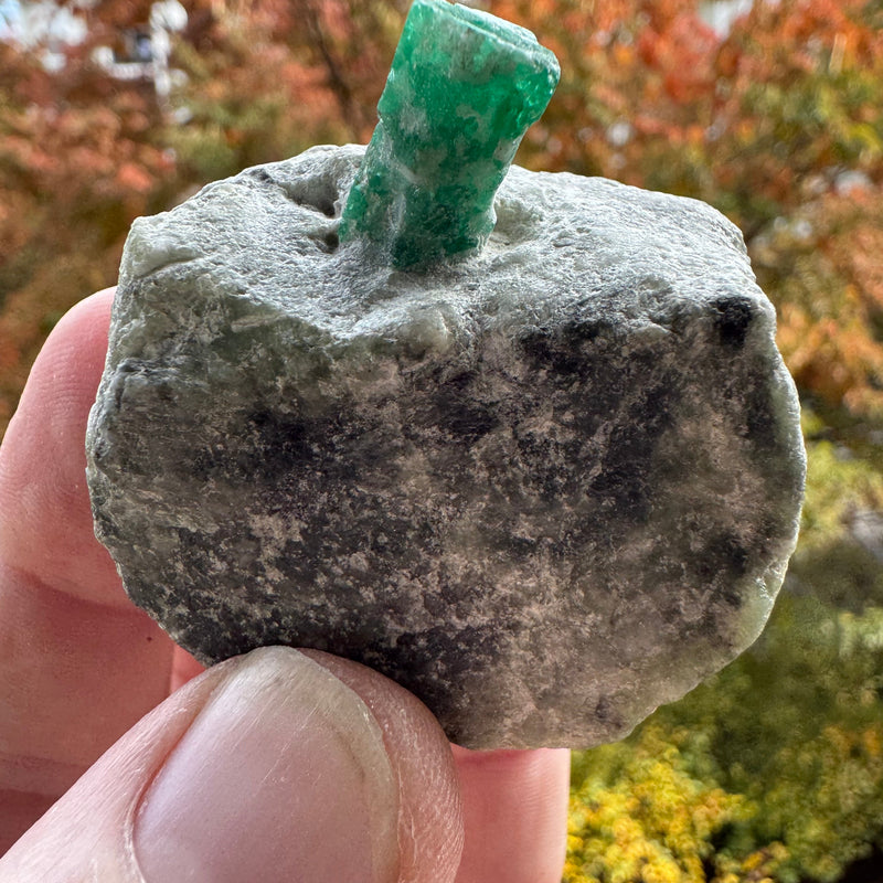Emerald Specimen - 97g