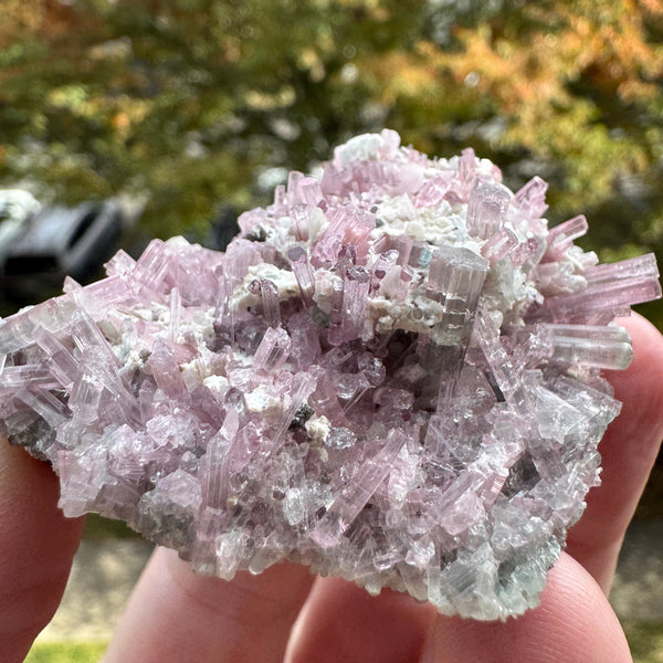 Pink Tourmaline Specimen - 64g
