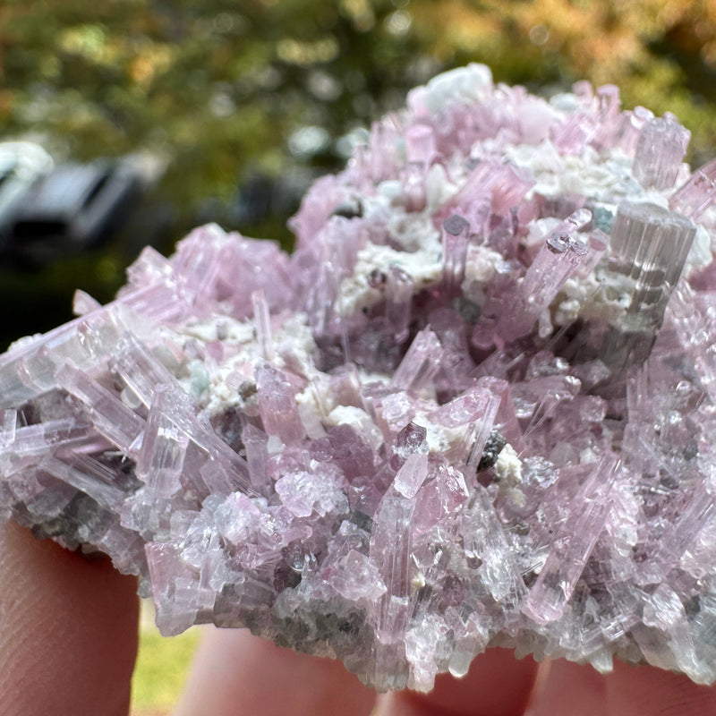Pink Tourmaline Specimen - 64g