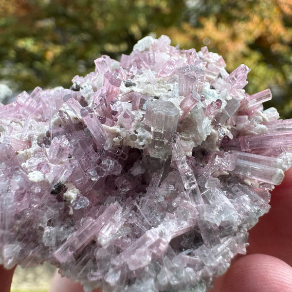 Pink Tourmaline Specimen - 64g
