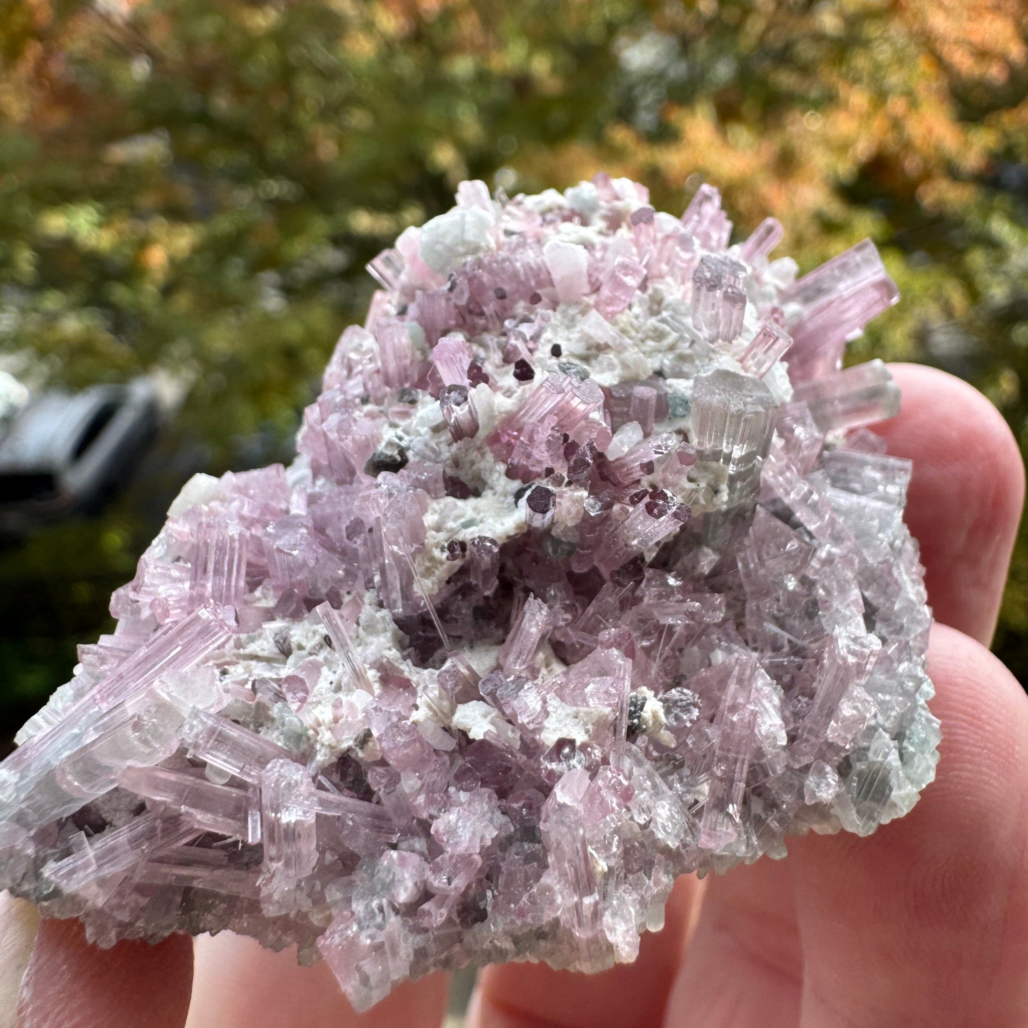 Pink Tourmaline Specimen - 64g