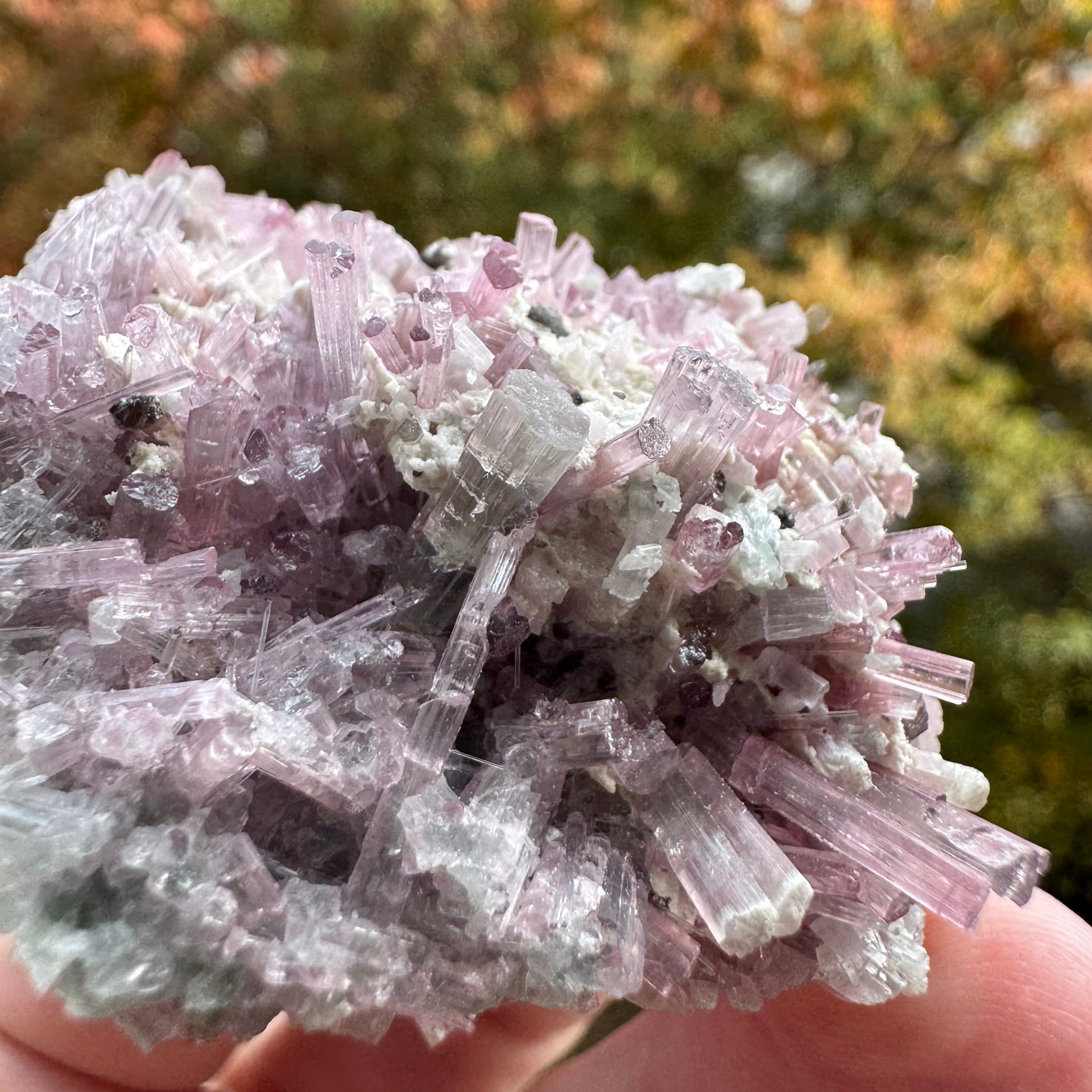 Pink Tourmaline Specimen - 64g