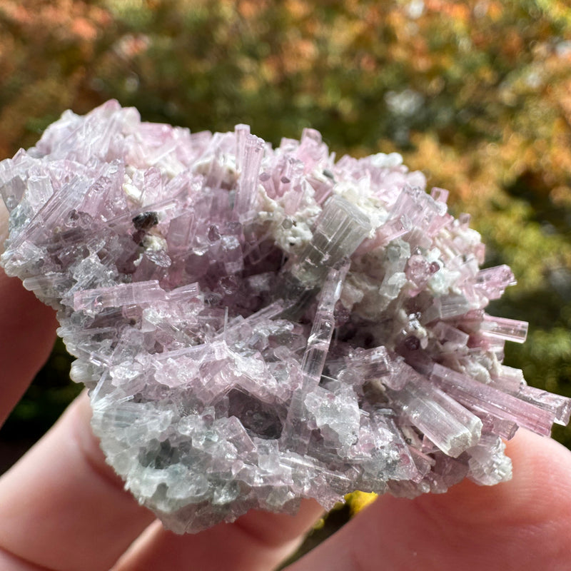 Pink Tourmaline Specimen - 64g