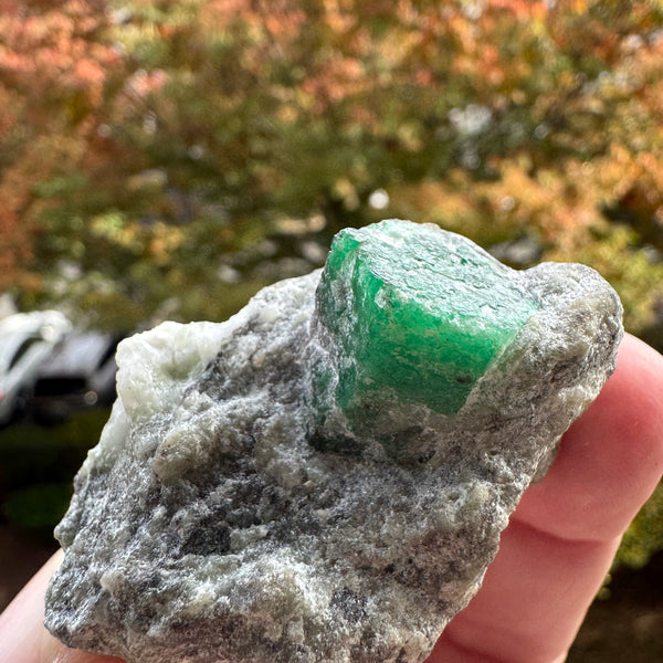 Emerald Specimen - 71g