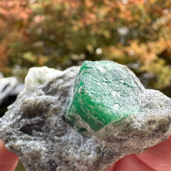 Emerald Specimen - 71g