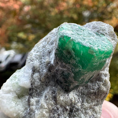 Emerald Specimen - 71g
