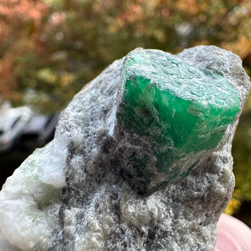 Emerald Specimen - 71g