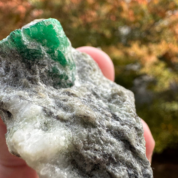 Emerald Specimen - 71g