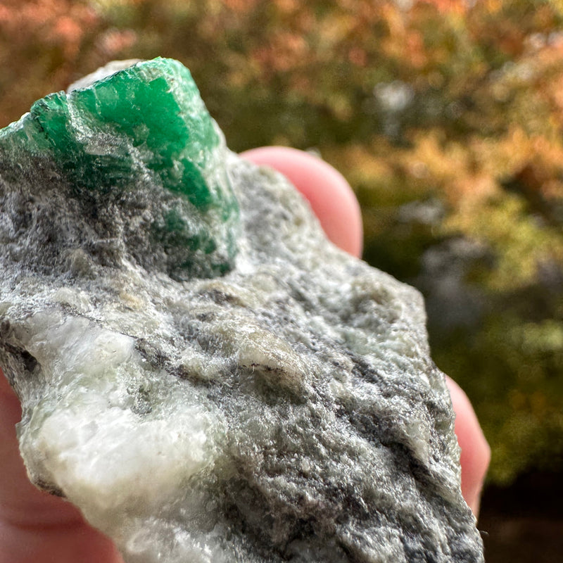 Emerald Specimen - 71g