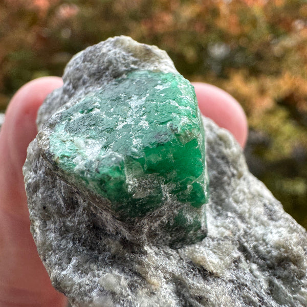 Emerald Specimen - 71g