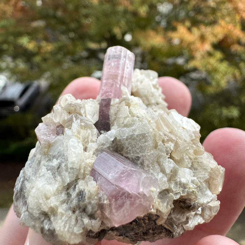 Pink Tourmaline Speicmen - 66g