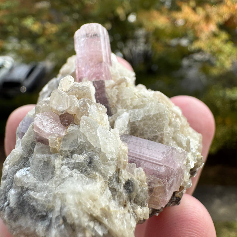 Pink Tourmaline Speicmen - 66g