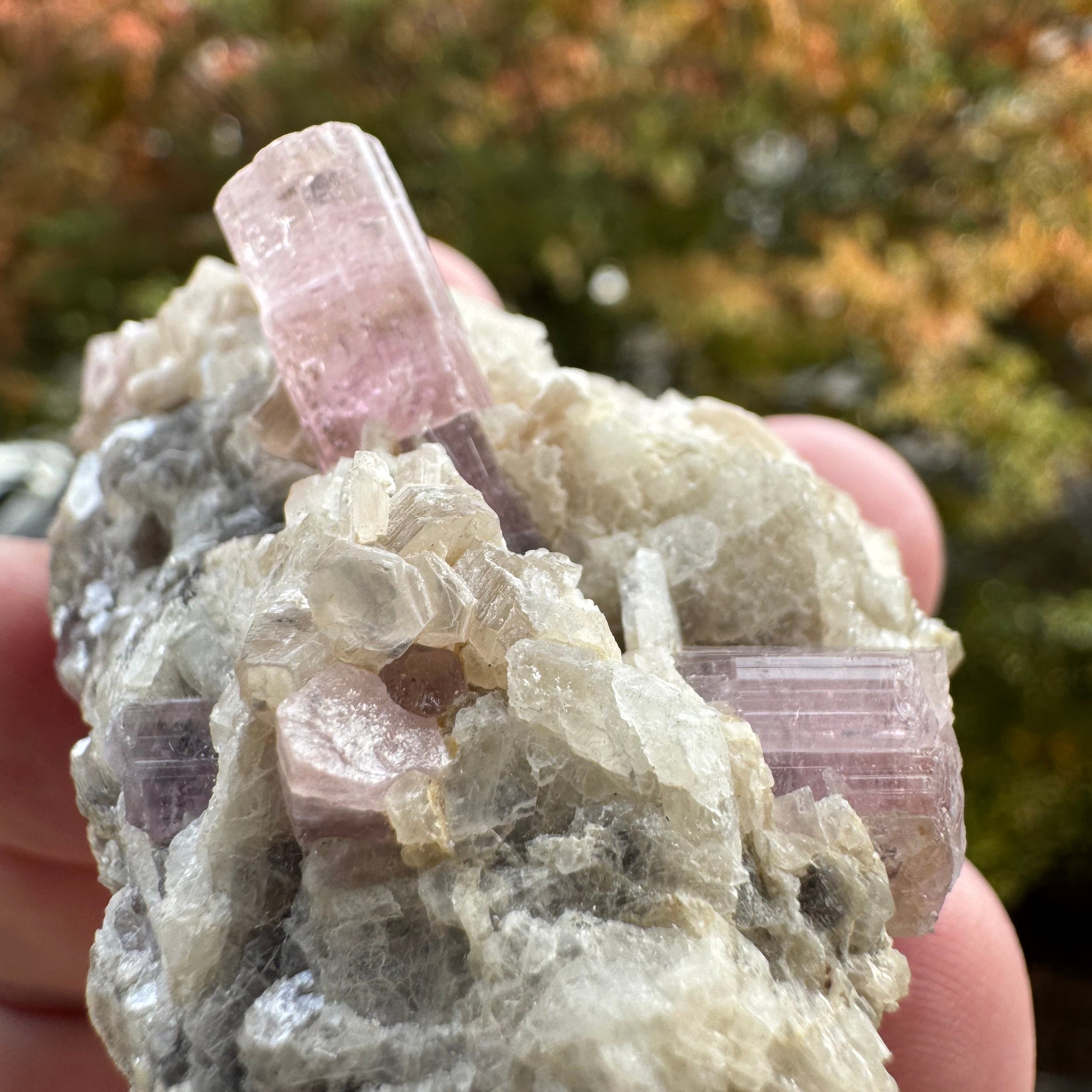 Pink Tourmaline Speicmen - 66g