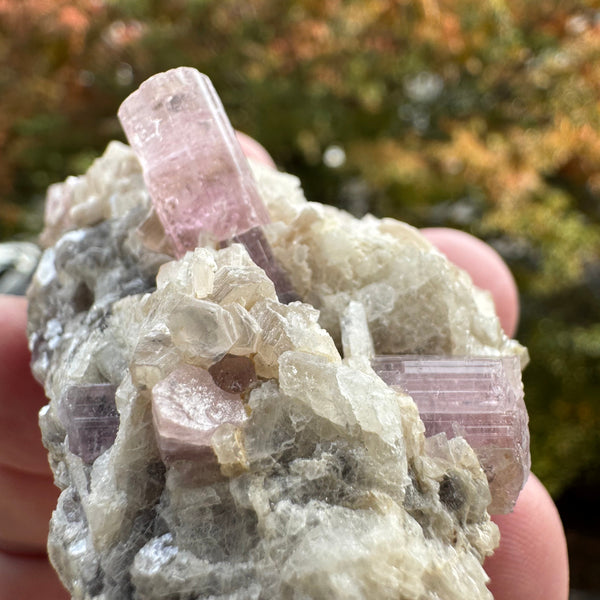 Pink Tourmaline Speicmen - 66g